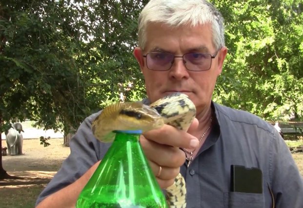 Змея присоединилась к популярному челленджу и открыла бутылку (видео)