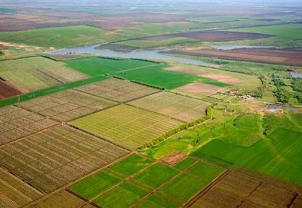Земельная реформа в Украине пройдет в этом году, - Зеленский