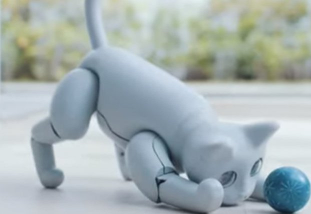В Китае создали кошку-робота, у которой будет меняться характер (видео)