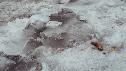 Мокрый снег и гололедица сохранятся в Кузбассе до праздников