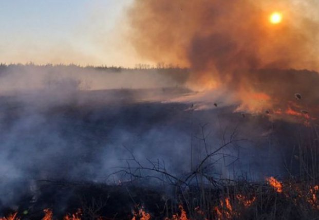 Огонь уничтожил около 5% заповедника в Чернобыльской зоне