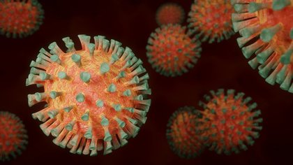 Почти восемь тысяч человек заразились коронавирусом в России за сутки