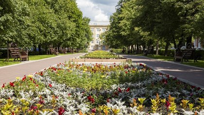 Пять миллионов цветов украсят Кузбасс в 2020 году