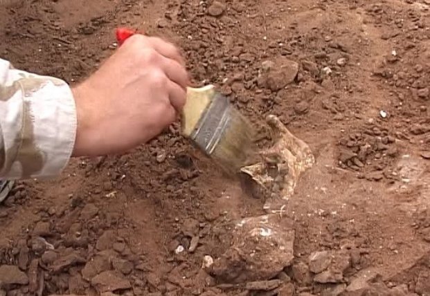 В ЮАР археологи нашли древние кровати