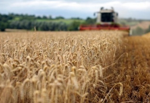 Украина сократила экспорт зерна