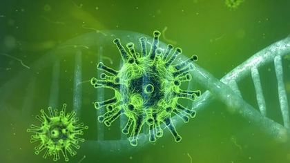 Британские ученые доказали появление длительного иммунитета при скрытом COVID-19